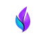 LinguaLearner Icon